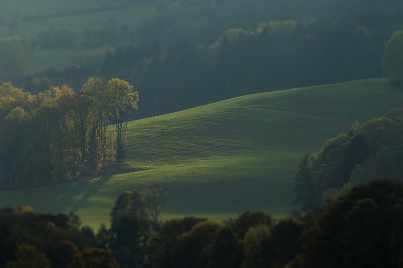 Middle-earth Garden