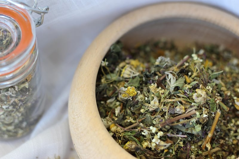 Wormwood Plant